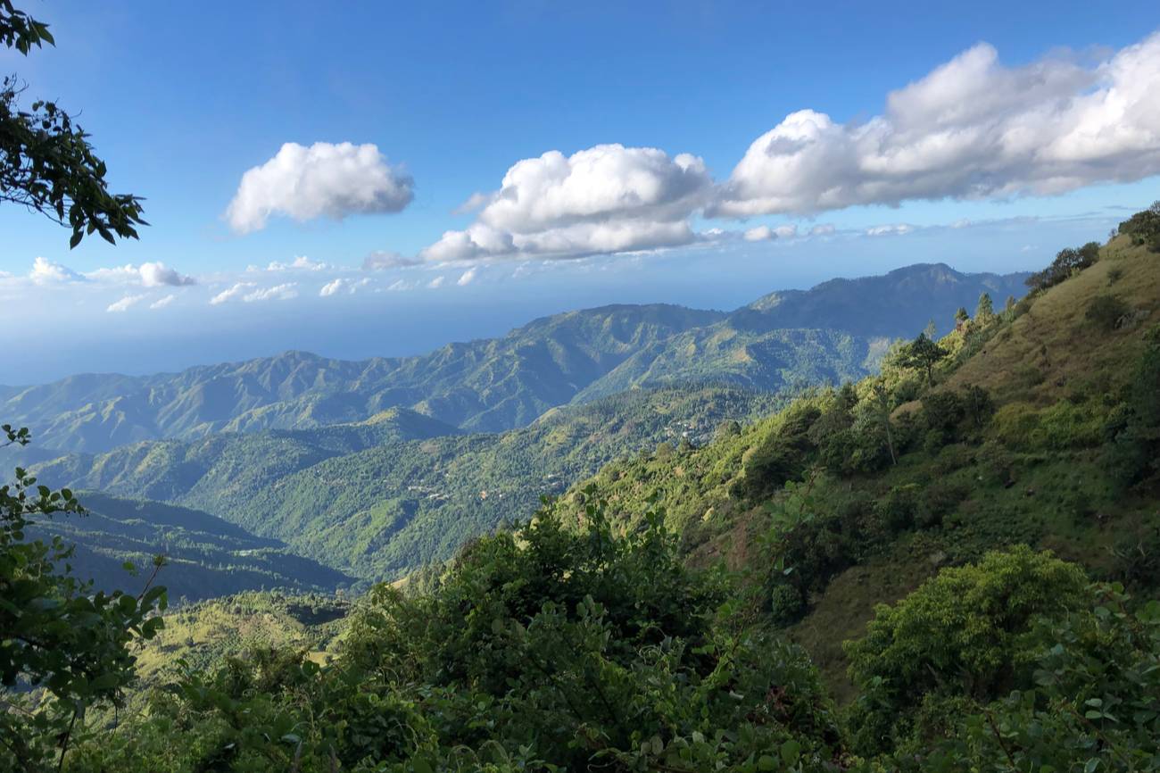 Blue Mountains, Jamaica