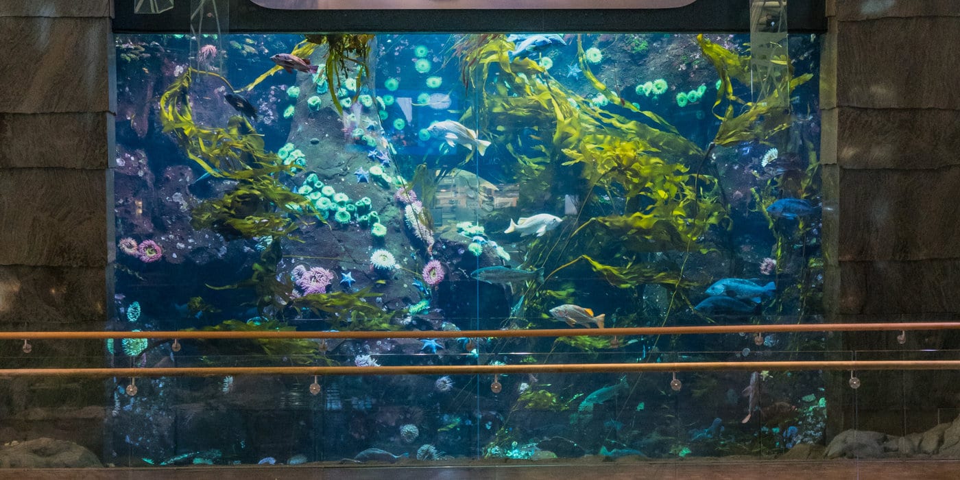 aquarium vancouver luchthaven