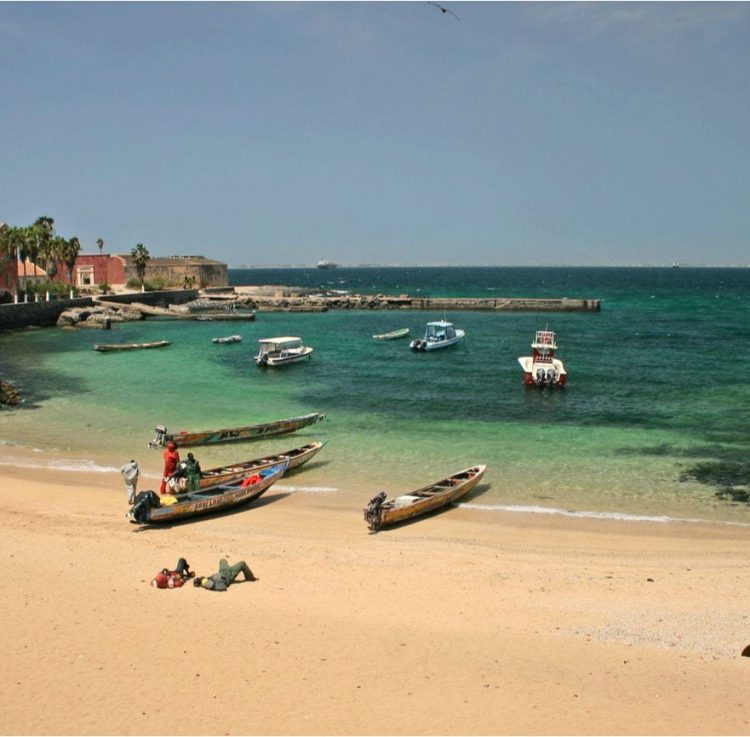Bizar Heerlijke All Inclusive Vakantie Senegal 15 Dagen Palm Beach